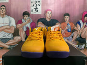 Nike Kobe 5 Protro Basketball Shoes Yellow Purple