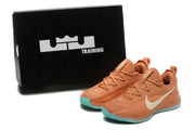 Nike LeBron Training Shoes in Rust and Teal