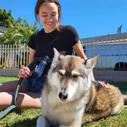 🐕 Dog Bath Sprayer with Soap Dispenser — 8-Mode Hose Attachment