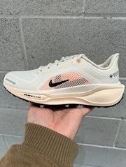 Nike Pegasus 41 GORE-TEX Running Shoes FQ1357-100
