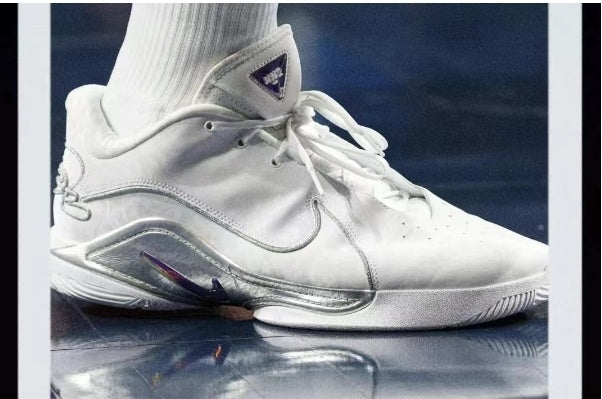 Nike LeBron 22 Basketball Shoes White and Silver