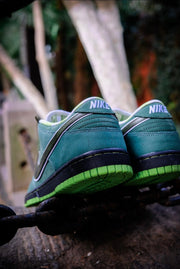 Nike SB Dunk Low Green Lobster Sneakers BV1310-337