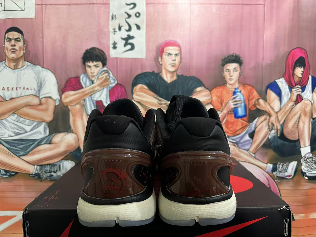 Nike Zoom Basketball Shoes in Brown and Black